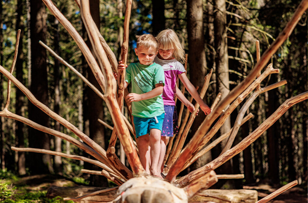 Kinder balancieren barfuß über natürliche Holzelemente im Wald auf dem Barfuß-Sinnes-Pfad.