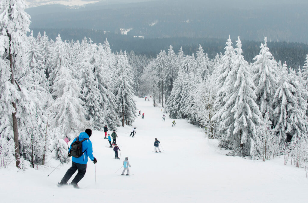 Mehrere Skifahrer fahren eine breite, schneebedeckte Piste hinab. Die Abfahrt führt durch einen verschneiten Nadelwald im Mittelgebirge.