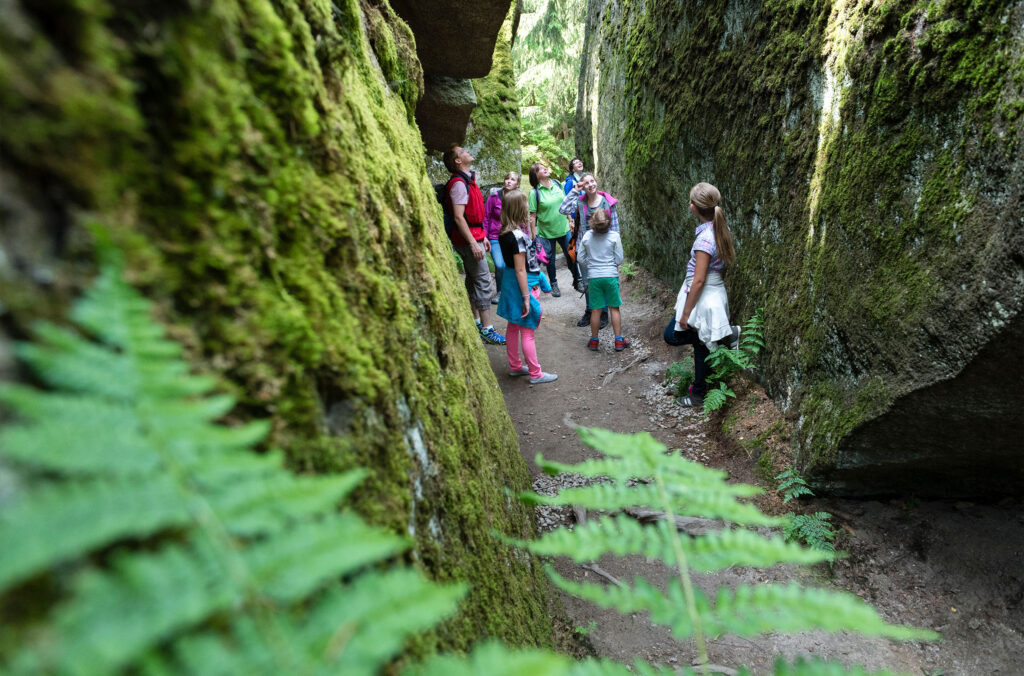 Ein empfohlenens Wanderziel der Ferienwohnung Siebenstern in Fichtelberg am Fichtelsee ist das Felsenlabyrinth in Wunsiedel. Zwei Erwachsene Personen und fünf Kinder stehen zwischen riesigen vermoosten Granitfelsen und blicken beeindruckt nach oben.